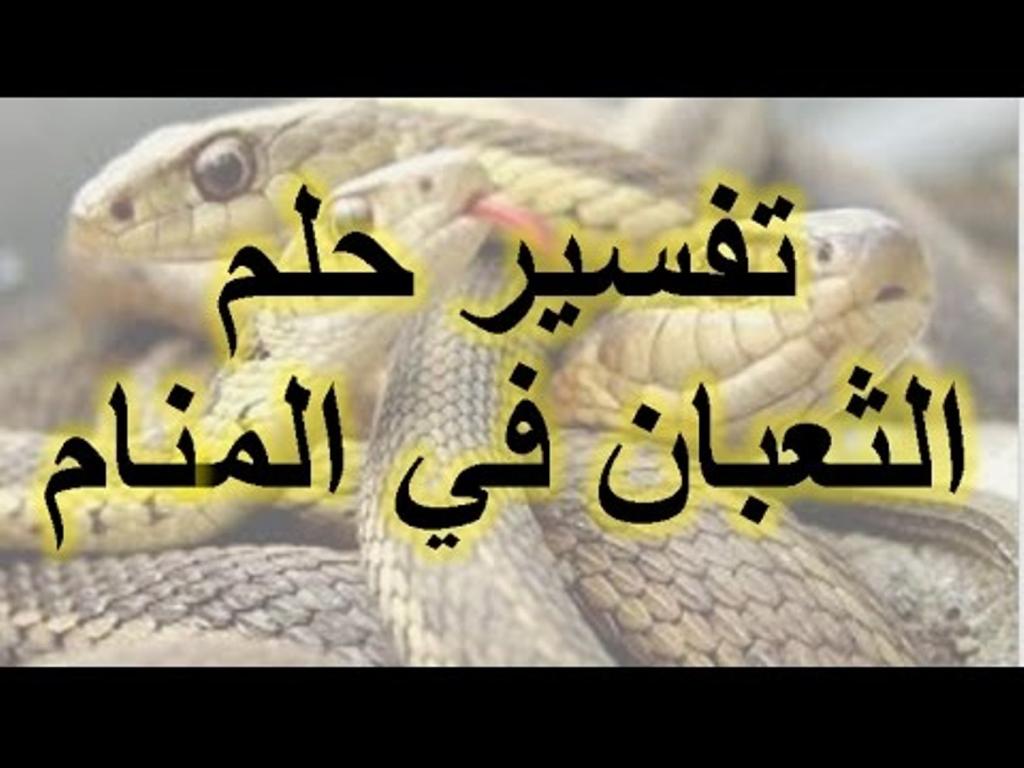 ما معنى وجود الثعابين قي حلمك , تفسير الثعبان في المنام