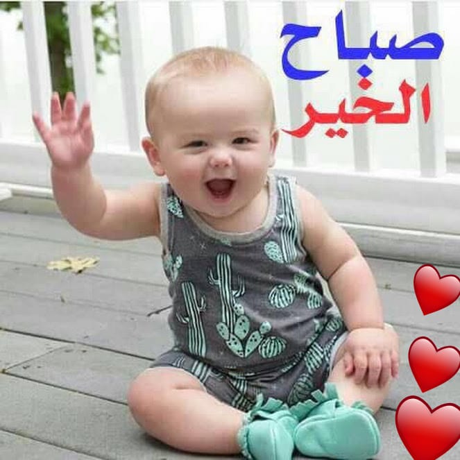 صباح الخير مضحكة , صباح جميل بطعم الكوميديا