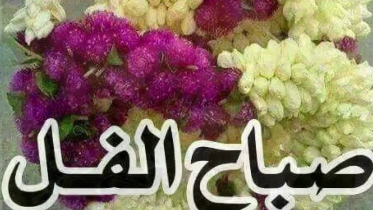 صور صباح الفل - اجمل رمزيات لعبارات صباح الفل 4383