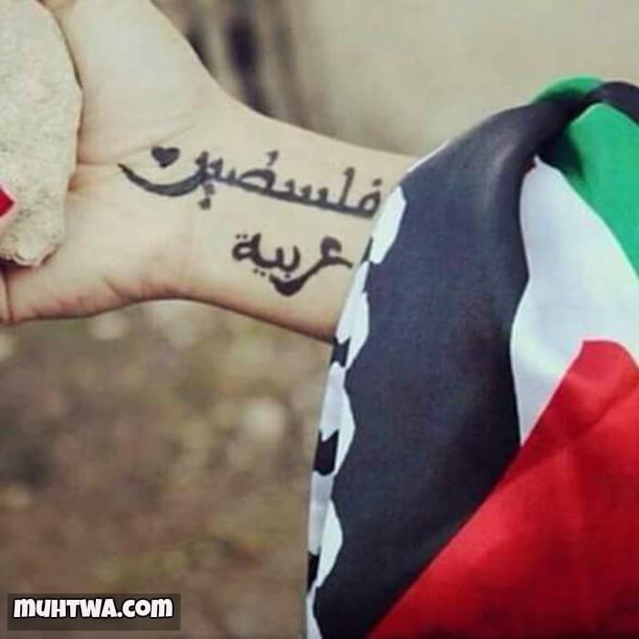 صور عن فلسطين - اجمل المناطق في فلسطين بالصور 4831 5