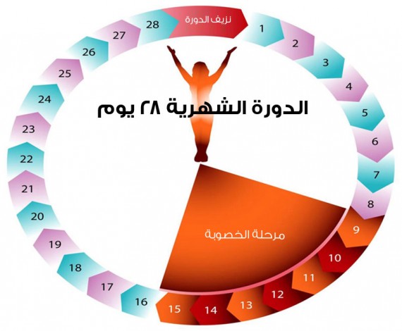 هل يحدث حمل بعد انتهاء الدورة بيومين , ميعاد حدوث الحمل