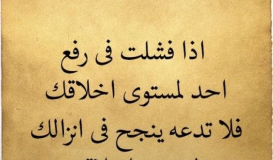 حكمة اليوم تقول - استفيد من اجمل اقوال الحكماء 6561 5