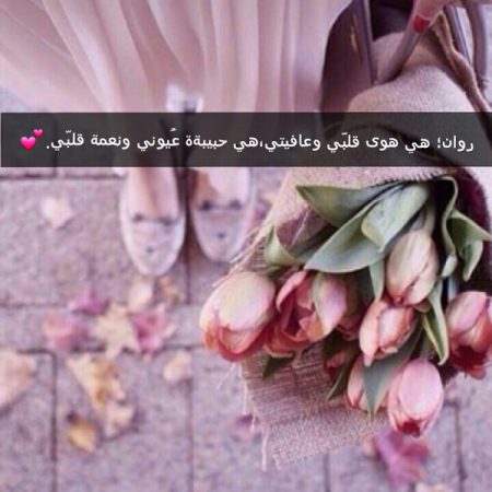 اجمل صور الورد - خلفيات صور ورد رائعه 3617 1