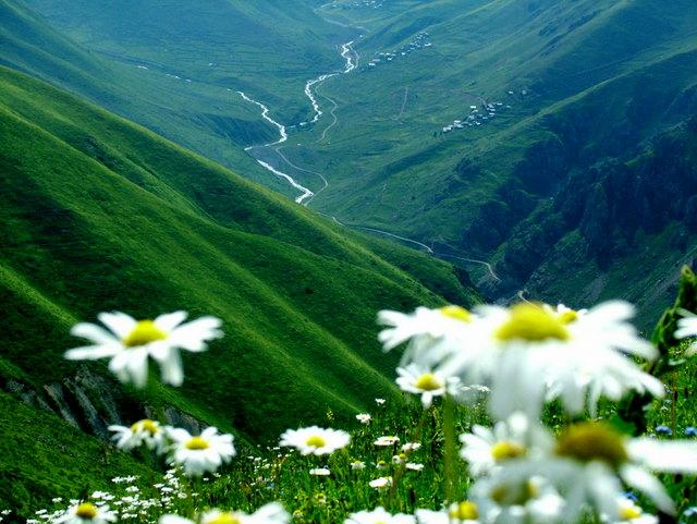 صور عن الطبيعه - صورة لمناظر طبيعة 1627 11