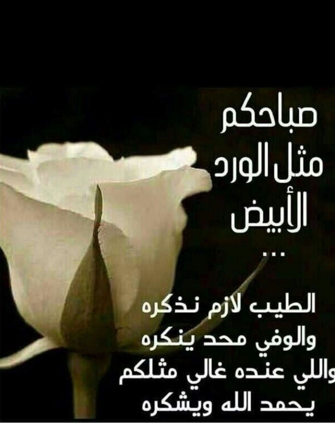 شعر صباح الخير حبيبتي 4305 5