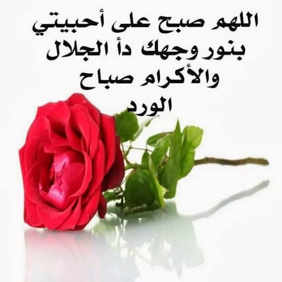 صور صباحيه متحركه - ياصباح الخير عليك 1628 1