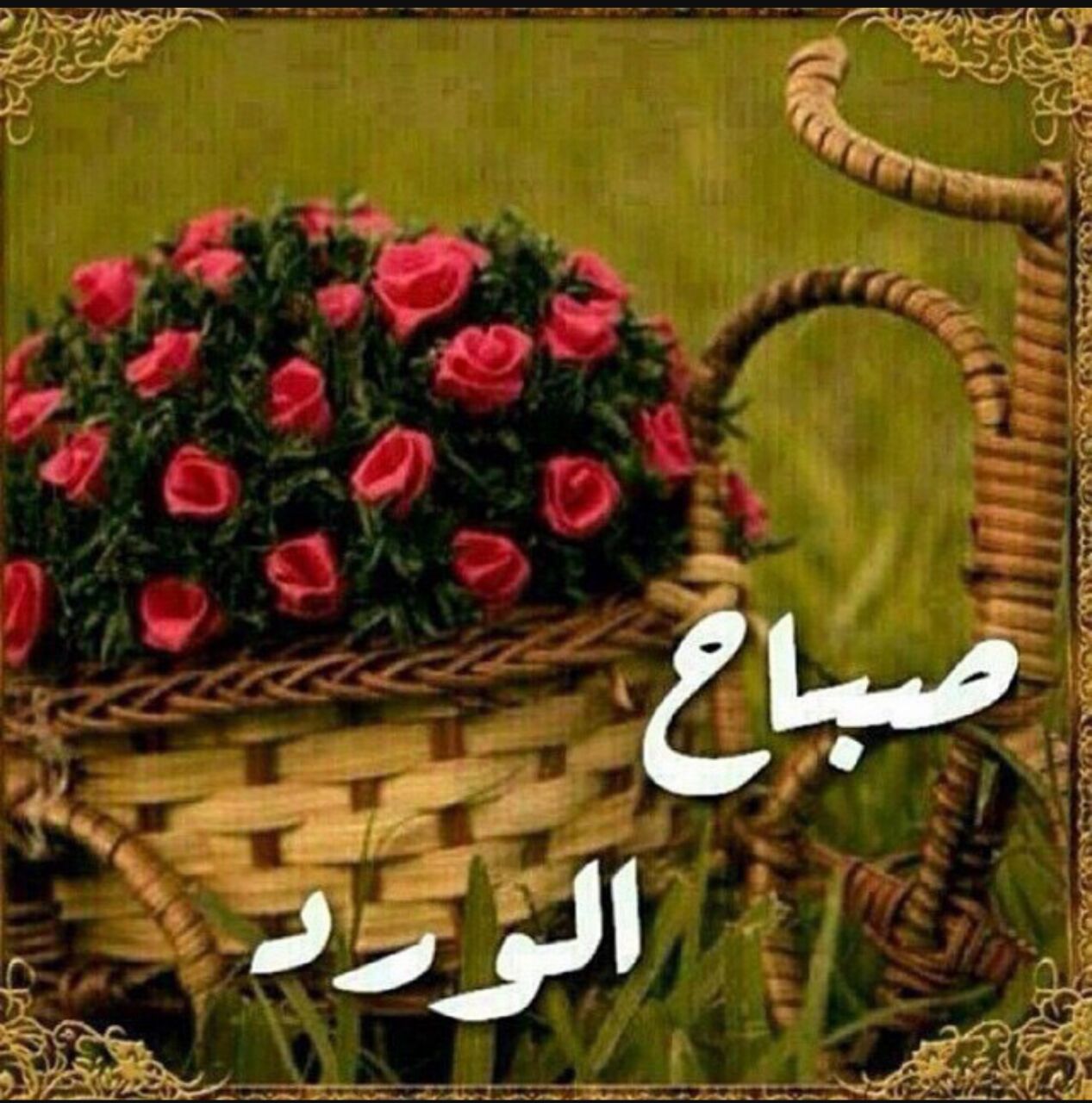 صباح الخير يا حبيبي 4346 10