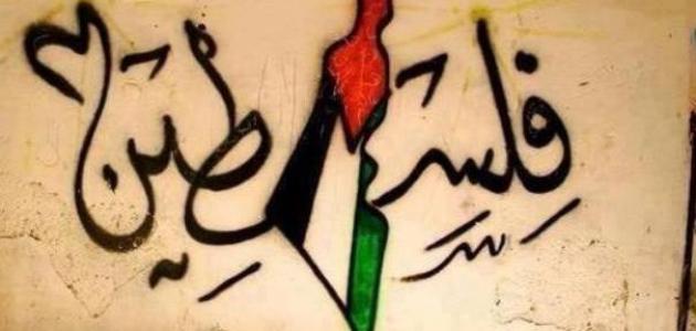 صور عن فلسطين - اجمل المناطق في فلسطين بالصور 4831 14