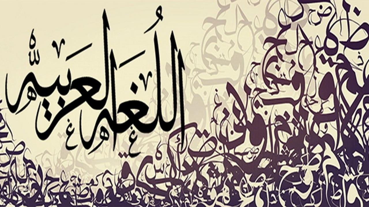 صور عن اللغة العربية - اعظم لغات العالم 5434 24