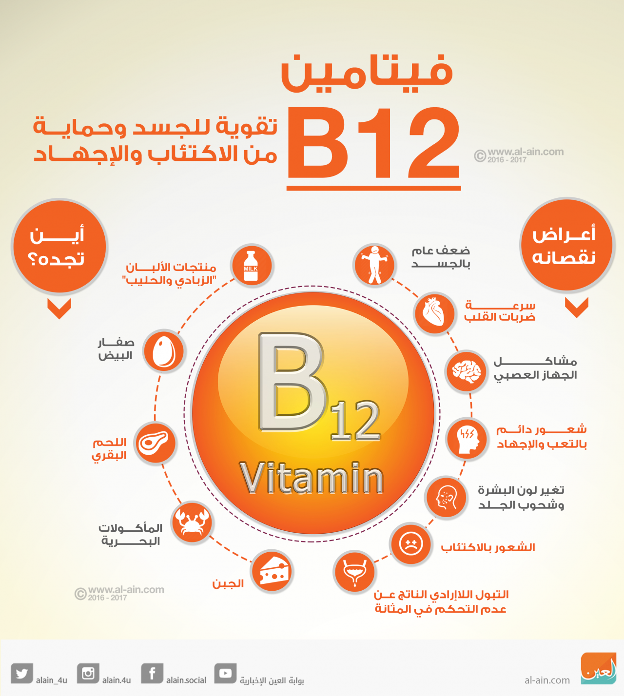 ما هو فيتامين b12 , تعرف على فوائد فيتامين ب12 والاطعمة الموجود بها