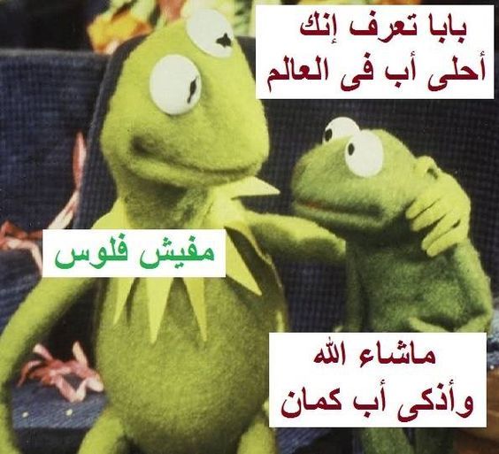 نكت هتموت من الضحك عليها 🤣🤣 - اجمل نكت في العالم 1744 13