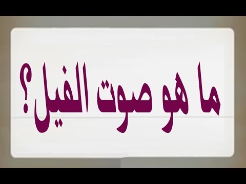 اسم صوت الفيل - صوت الفيل ماذا يطلق عليه 8604