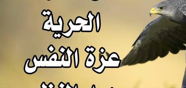 حقيقي هذه الكلمات في غاية الروعة ، عبارات وحكم قصيرة 8002