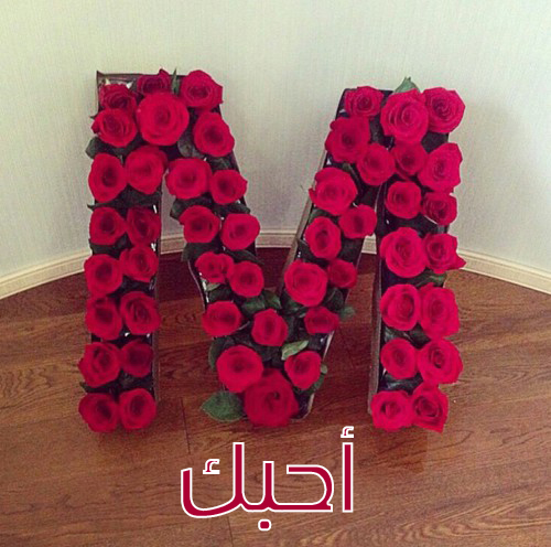 صور لحرف M - اجمل رمزيات لحرف M 3451 2