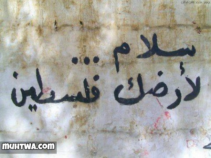 صور عن فلسطين - اجمل المناطق في فلسطين بالصور 4831 1