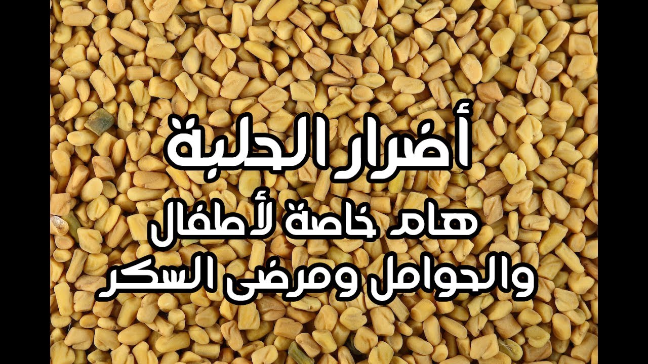 اضرار الحلبة , هل للحلبة اضرار كثيرة