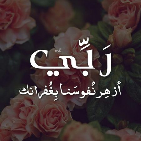 اجمل صور للواتس - صور مميزه جدا للواتس 3819 10