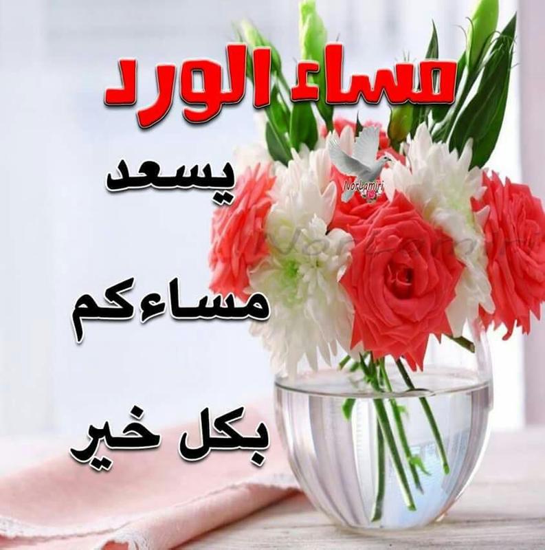 صور صباح ومساء الخير , مساء الخيرات علي الحلوات