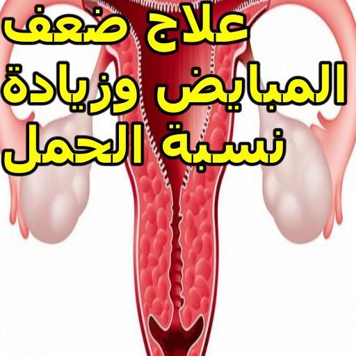 علاج ضعف المبايض - علاج مسبب العقم وتاخر الحمل 4543 3