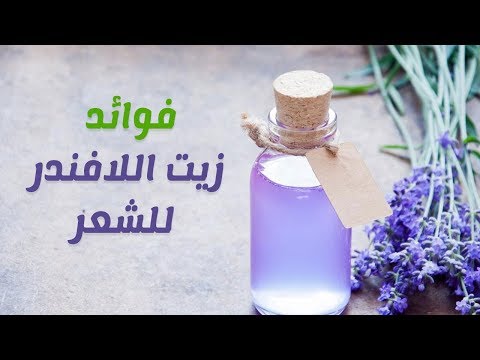 فوائد اللافندر للشعر - جربتى قبل كده اللافندر لشعرك 8459 2