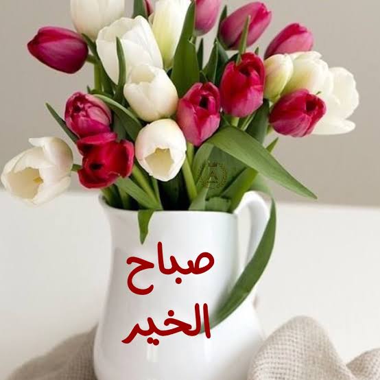 صور صباحالخير - صبح علي حبيبك 1285 9