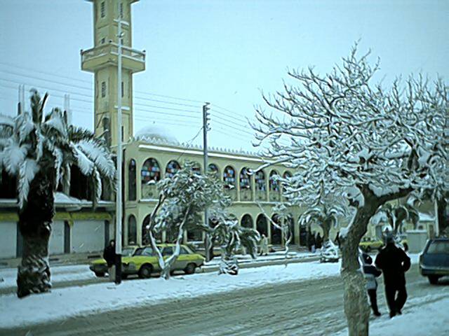 صور من الجلفة - ولاية الجلفة بالجزائر 7586 2