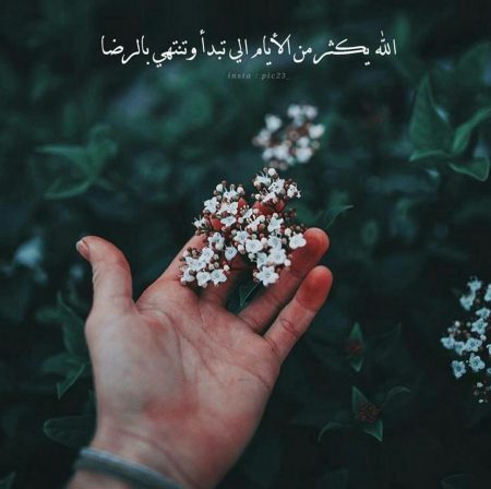 اجمل صور للواتس - صور مميزه جدا للواتس 3819 1