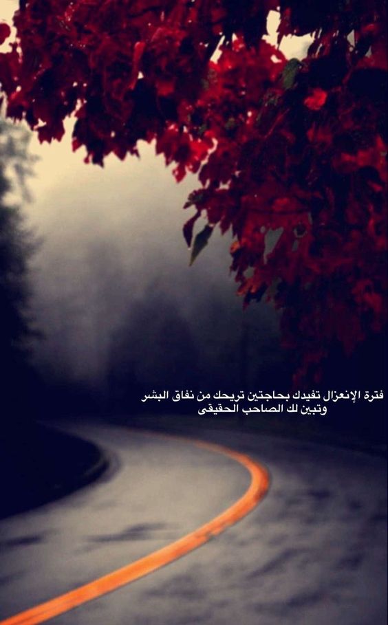 صور مكتوب حكم - حكم و امثال و مقولات 8344 11