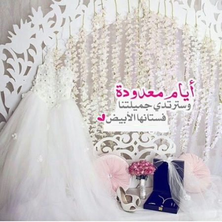 صور عن عيد الزواج - صور مميزة عيد الزواج 213 4