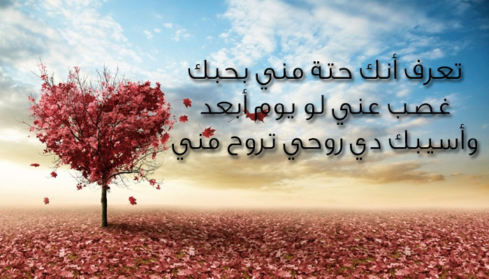 رسائل حب خاصه للحبيب - رسائل حب رومانسيه للعشاق 7928 4