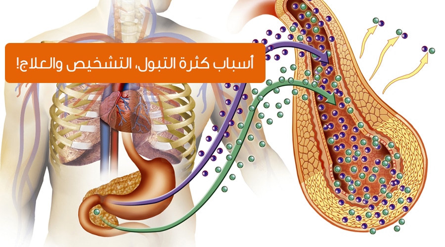 اسباب كثرة التبول , ماهى الاسباب التى تؤدى الي كثرة التبول