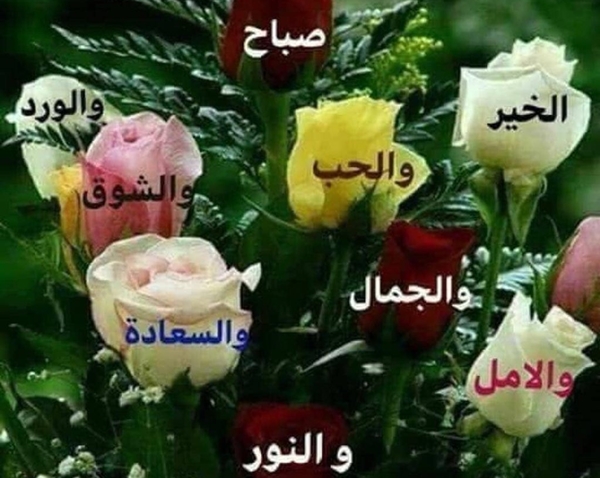 صباح الخير من اجمل الكلمات فعلا ، صباح صباح الخير 8054 1