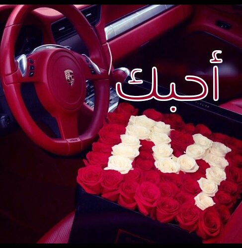 صور احبك , خلفيات كلمة ilove you