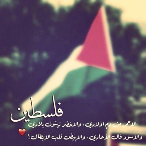 صور عن فلسطين - اجمل المناطق في فلسطين بالصور 4831 8