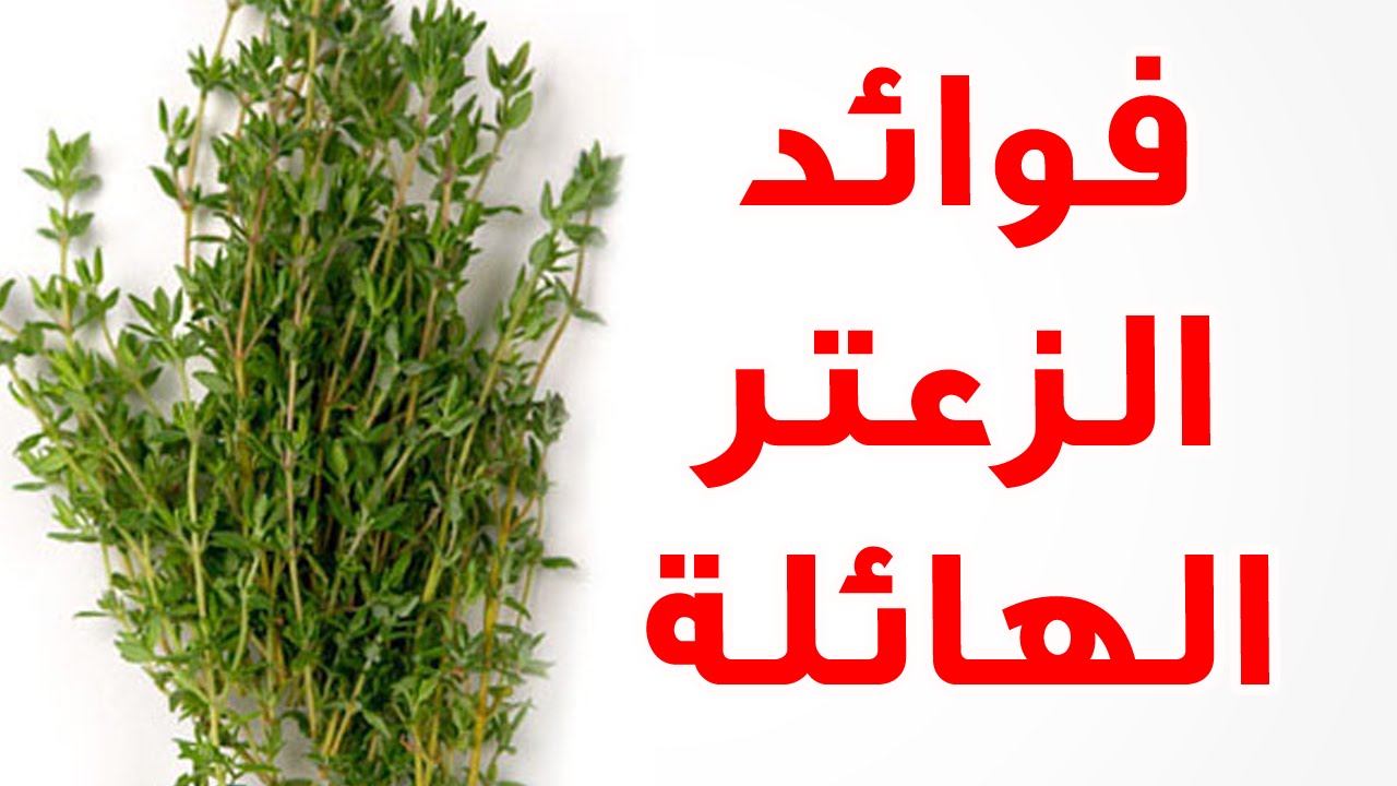 فوائد الزعتر - اسرار عشبة الزعتر وفوائدها 4317 2