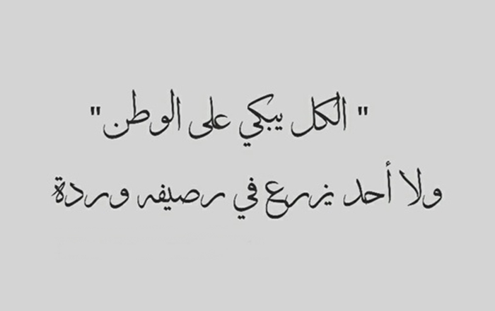 الروعة والجمال كله في العبارات دى - كلمات معبرة قصيرة 1576 3