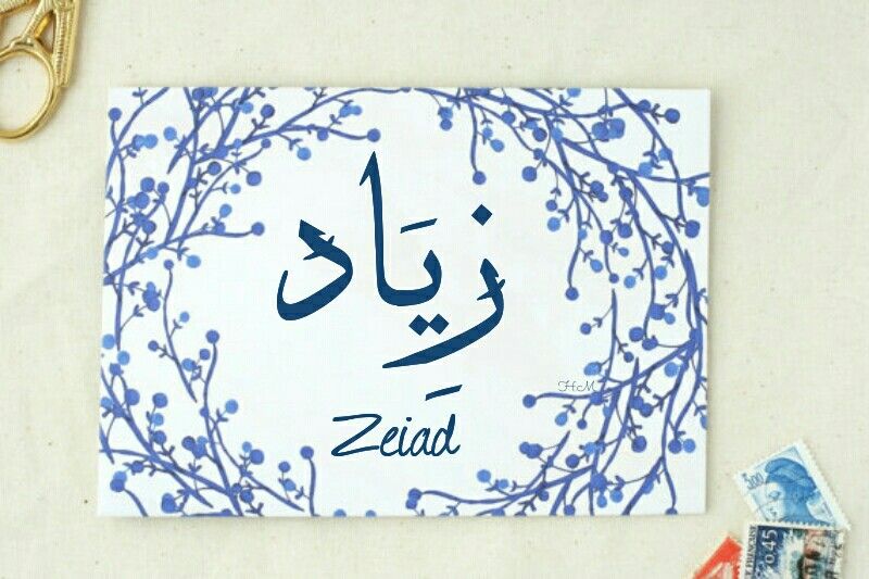 معنى اسم زياد , صور مكتوب عليها زياد