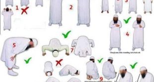 3184 7 طريقة الصلاة الصحيحة بالصور - تعليم كيفيه الصلاه حمدة نيازي