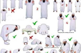 3184 7 طريقة الصلاة الصحيحة بالصور - تعليم كيفيه الصلاه حمدة نيازي