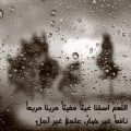 3776 15 صور عن المطر - سقوط قطرات المطر في الصور اشواق شملي