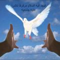 4268 14 صور عن السلام - من صفات الرجل الخلوق السلام كميلة محمود