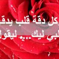 5072 15 صور اشعار حب - كلمات شعر عن الحب شهد الكاف