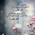 5618 18 صور عبارات - عبارات تعبر عن مشاعرنا الداخلية شهد الكاف