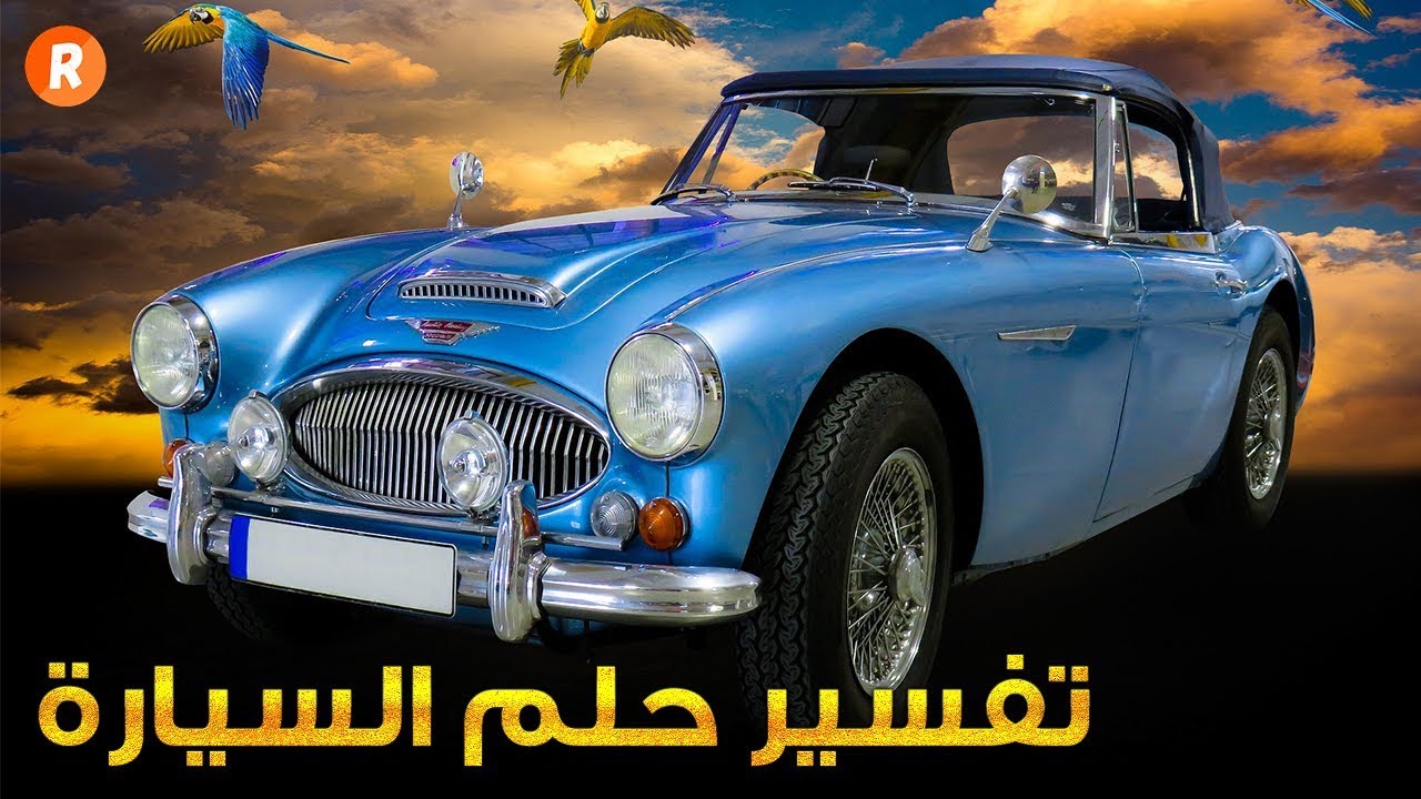 6360 تفسير حلم سرقة السيارة - ماذا تعنى رؤية سرقة سيارتك فى الحلم كميلة محمود